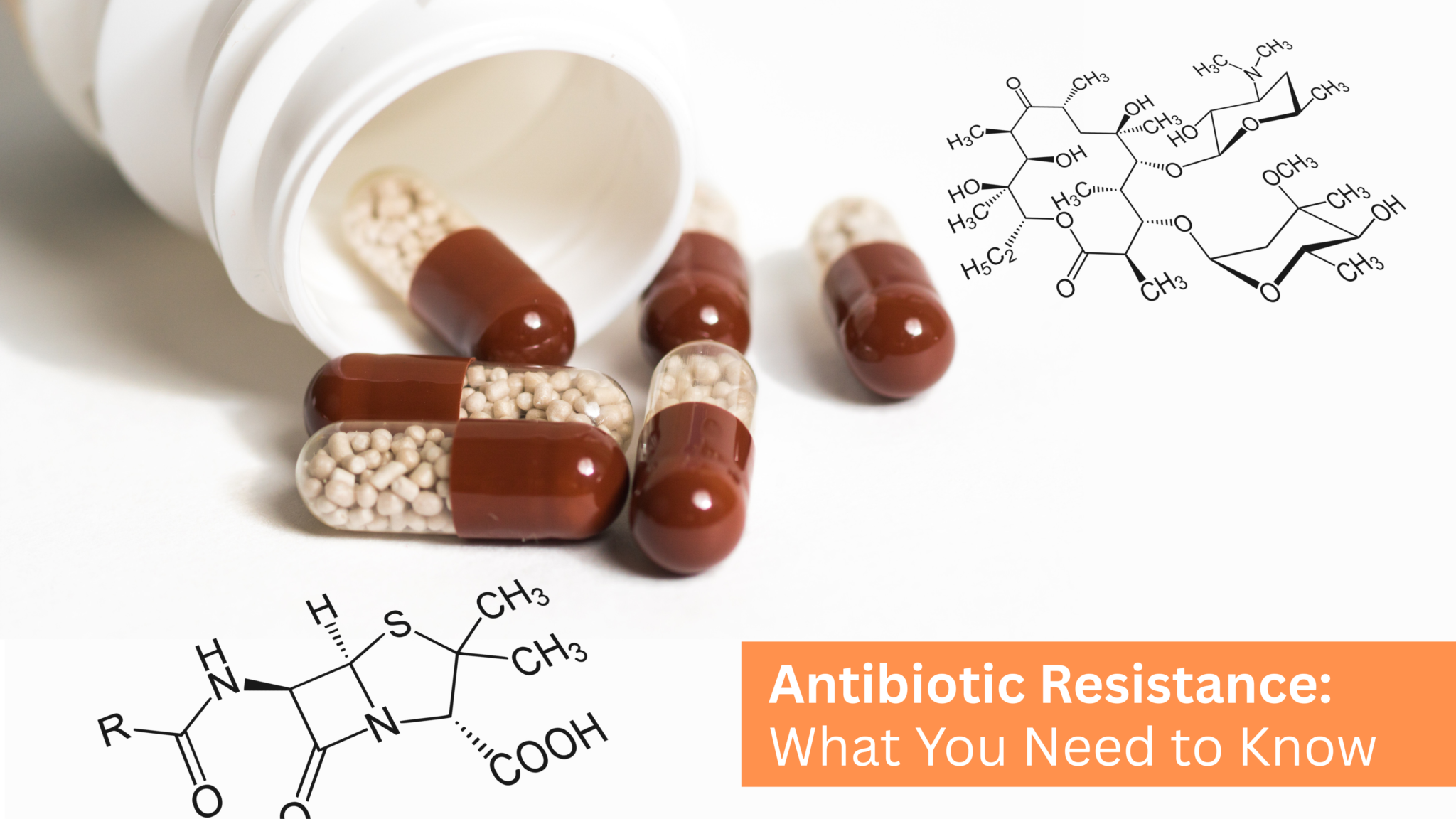 Antibiotic Resistance What You Need to Know