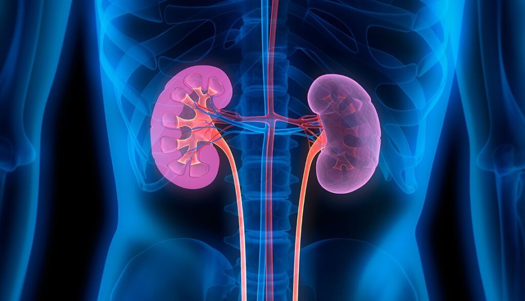 Types and causes of kidney Diseases