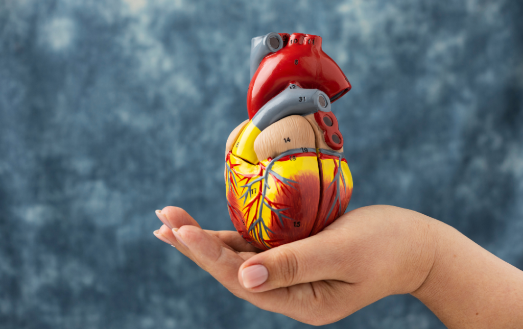 Importance of Cardiac Rehabilitation